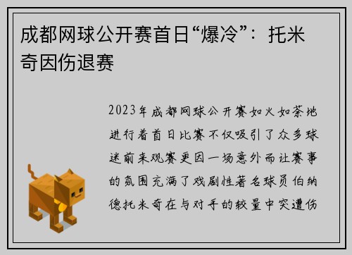 成都网球公开赛首日“爆冷”：托米奇因伤退赛