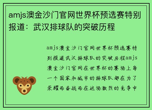 amjs澳金沙门官网世界杯预选赛特别报道：武汉排球队的突破历程